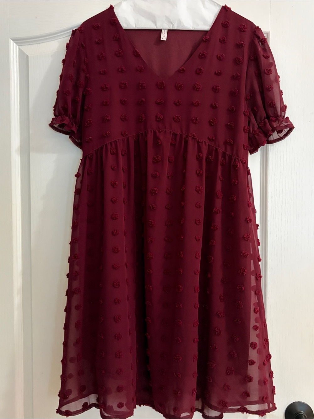 Source Unknown Burgundy Pom-Textured V-Neck Babydoll Dress